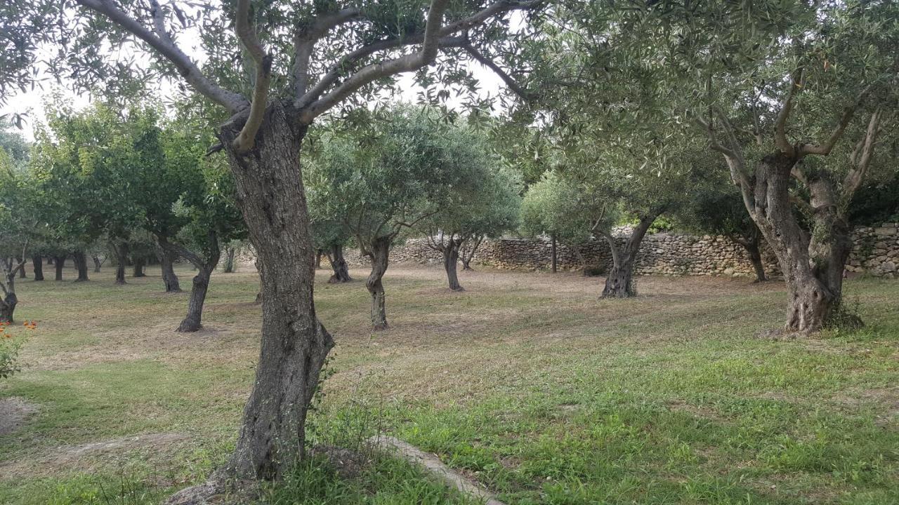 Serra E Mesu Affittacamere Magomadas Eksteriør bilde